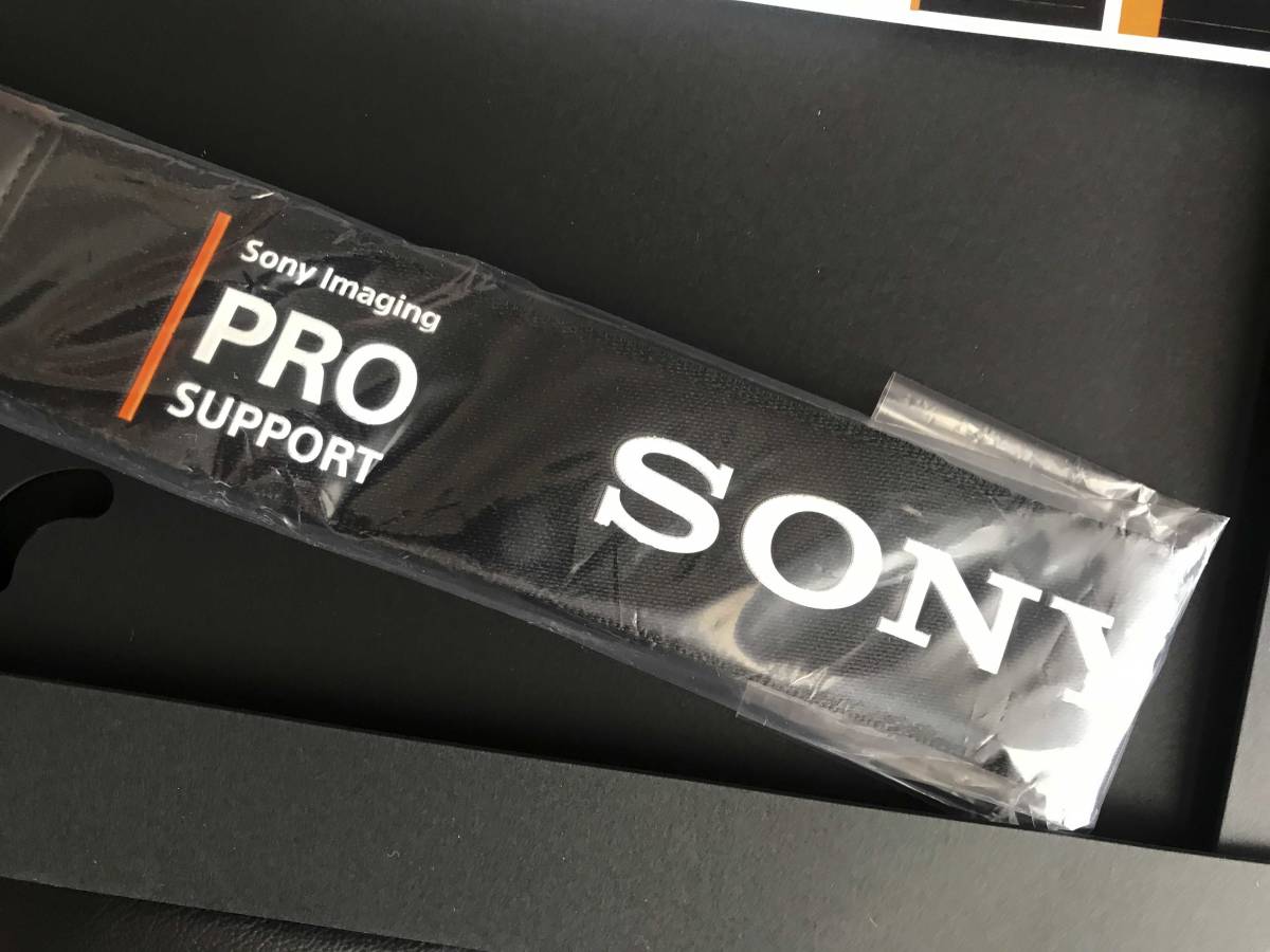 Sony プロ ストラップ ステッカー 70 0mm レンズケース r3 Sel700gm Selgm ソニー 売買されたオークション情報 Yahooの商品情報をアーカイブ公開 オークファン Aucfan Com