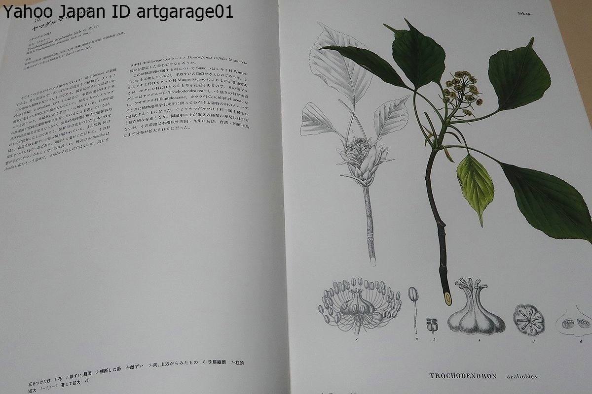 原色精密 日本植物図譜 シーボルト フロラ ヤポニカ 定価43000円 世界 