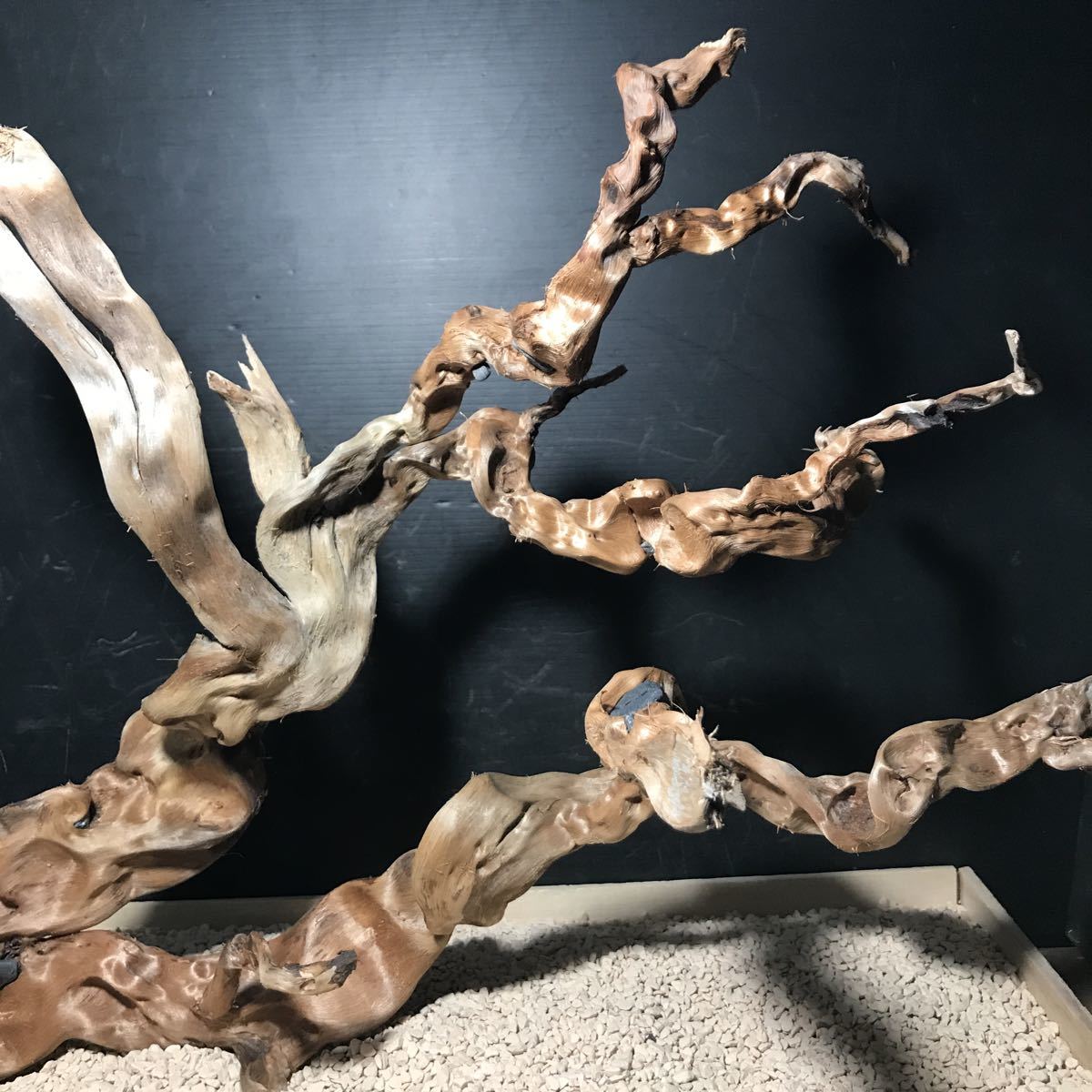 ☆sea tree☆煮沸消毒済み流木 　 大型流木/水槽/アクアリウム/テラリウム/インテリア/ADA/サンゴ/置物