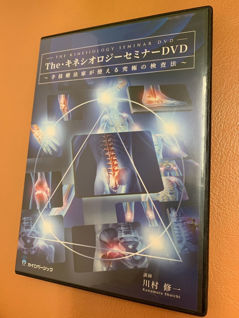 DVD/ブルーレイ 【希少フルセット】南式 内臓連鎖テクニック DVD