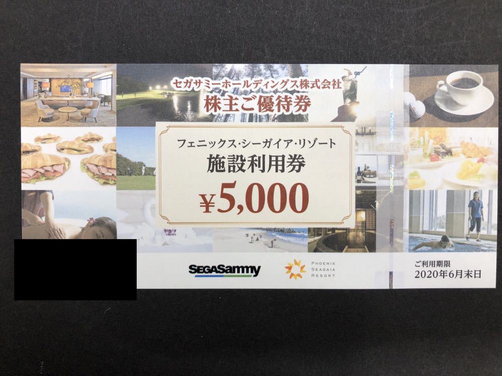優待券/割引券 セガサミー 株主優待 5000円 4枚セット