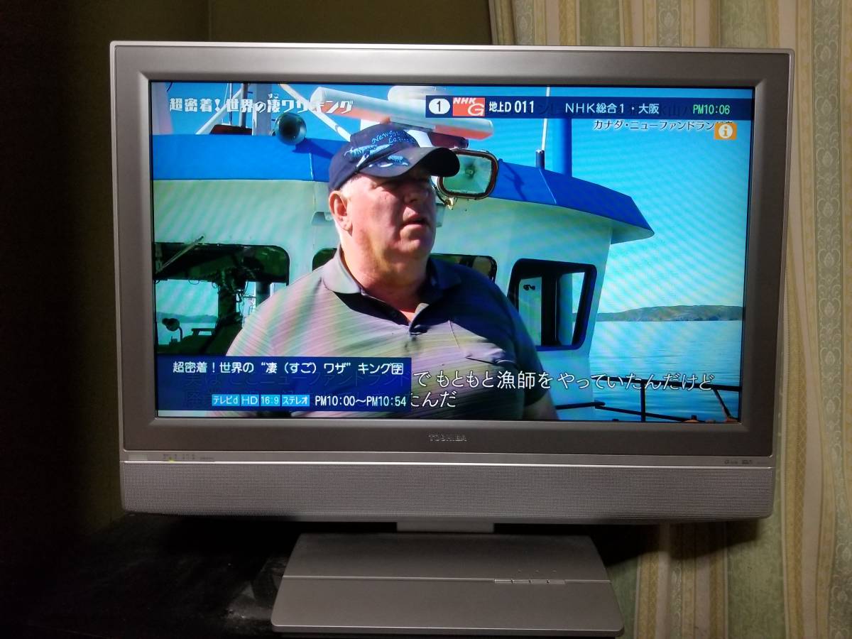 エスケイジャパン32V型ハイビジョン液晶テレビ SG-V32H300 エスケイ
