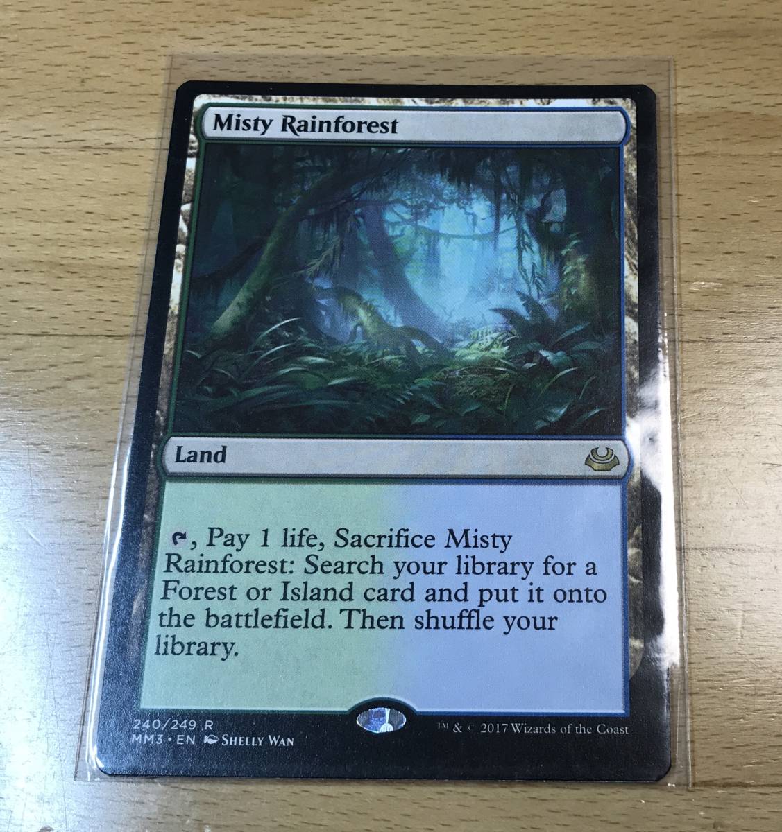 送料無料☆即決☆MTG☆霧深い雨林☆英語☆ 【公式通販】