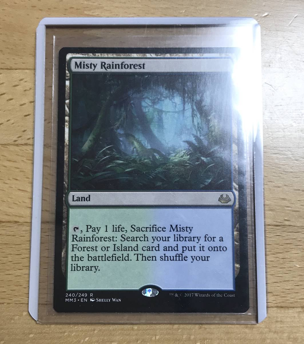 送料無料☆即決☆MTG☆霧深い雨林☆英語☆ 【公式通販】