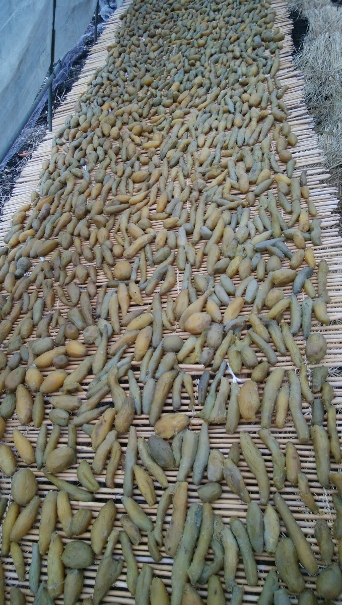 お買い得，SALE 干し芋 茨城県産 いずみ 丸干し２キロ箱入り 1/17分(加工食品)｜売買されたオークション情報、yahooの商品情報をアーカイブ公開 - オークファン その他