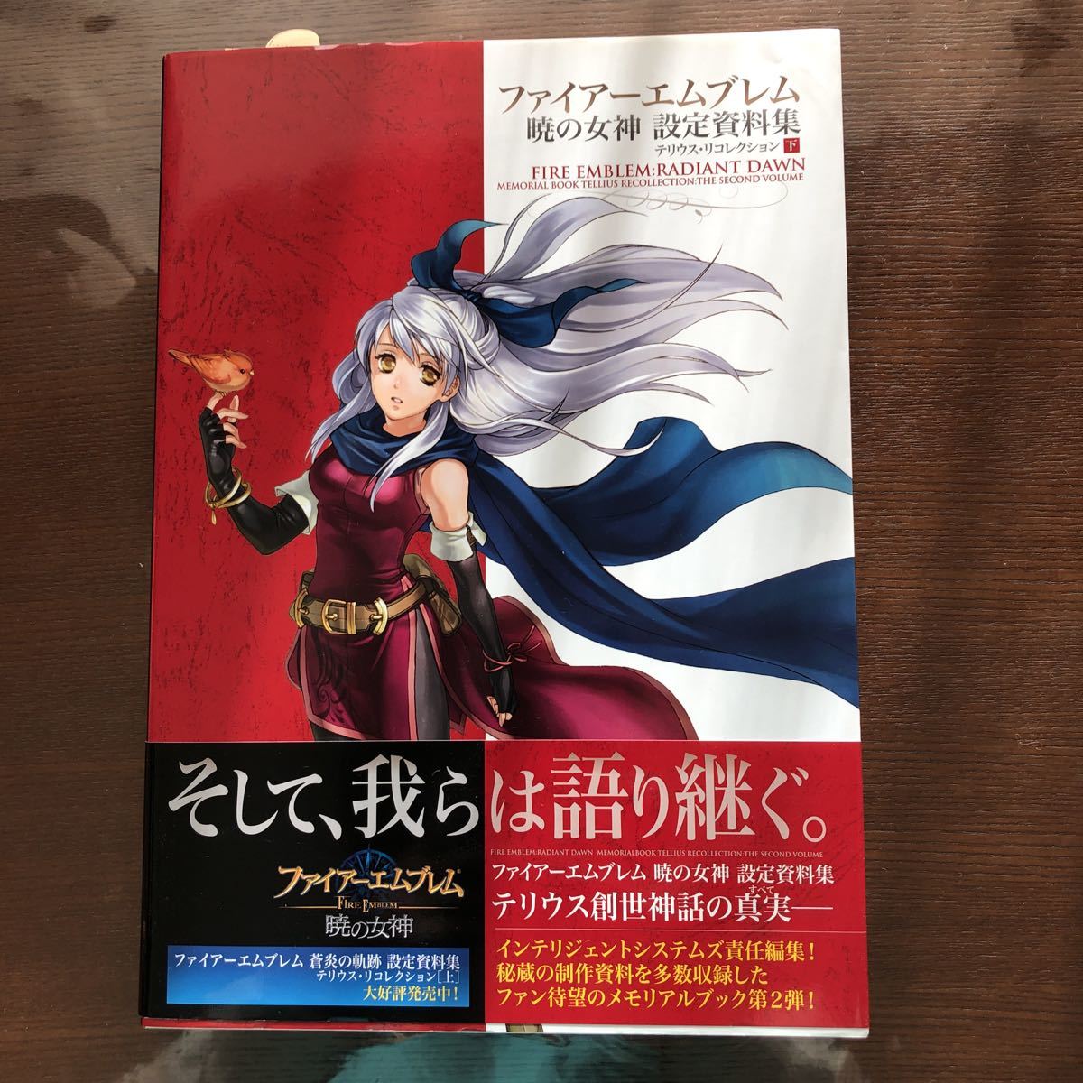ファイアーエムブレム 暁の女神 設定資料集 テリウス・リ