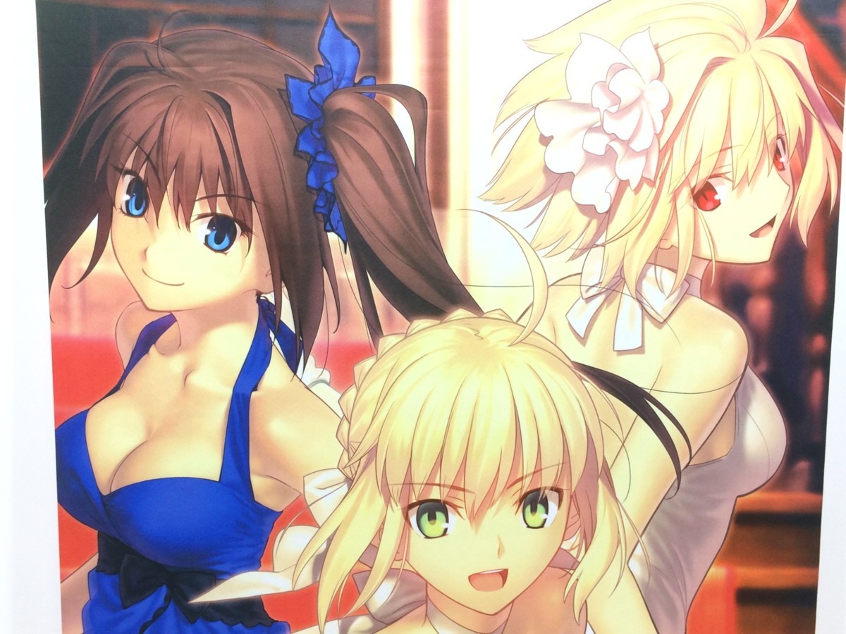 TYPE-MOON Fes. 月姫×魔法使いの夜×Fate 10周年記念タペストリー C89 