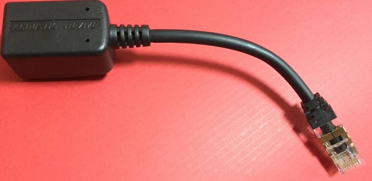 送料無料 ラスト1 美品 ACOUSTIC REVIVE アコースティックリバイブ RLI