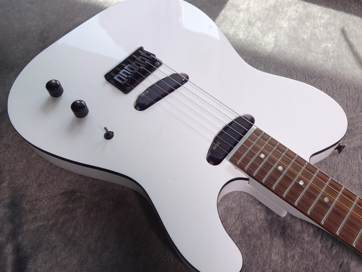 FERNANDES 2S エレキギターFERNANDES 国産TEJも甦る!! \u0026 伝説の 