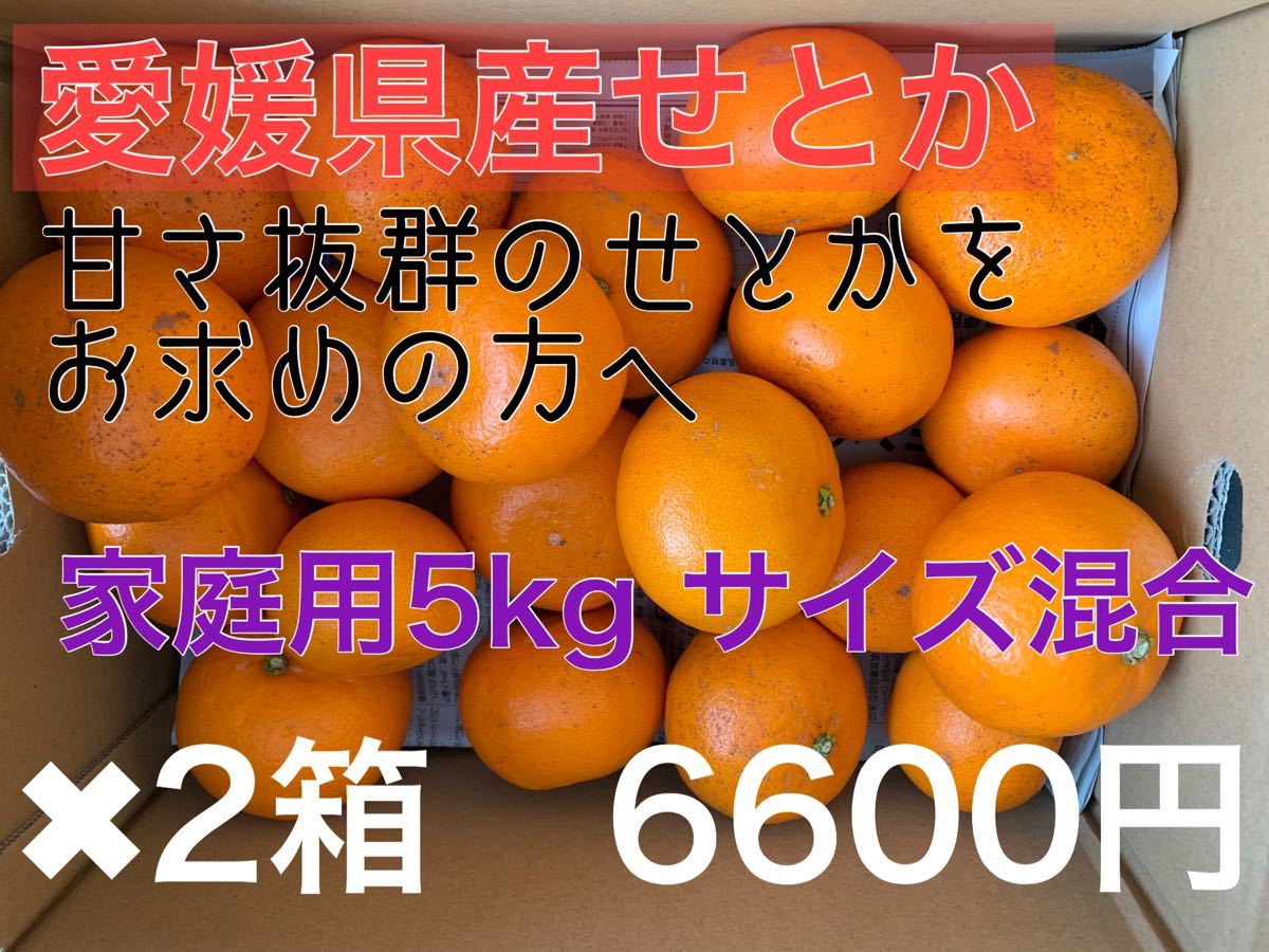 【本物保証，豊富な】 農家直送 愛媛県産せとか 家庭用5kg&times;2箱(かんきつ類)｜売買されたオークション情報、yahooの商品情報をアーカイブ公開 - オークファン かんきつ類