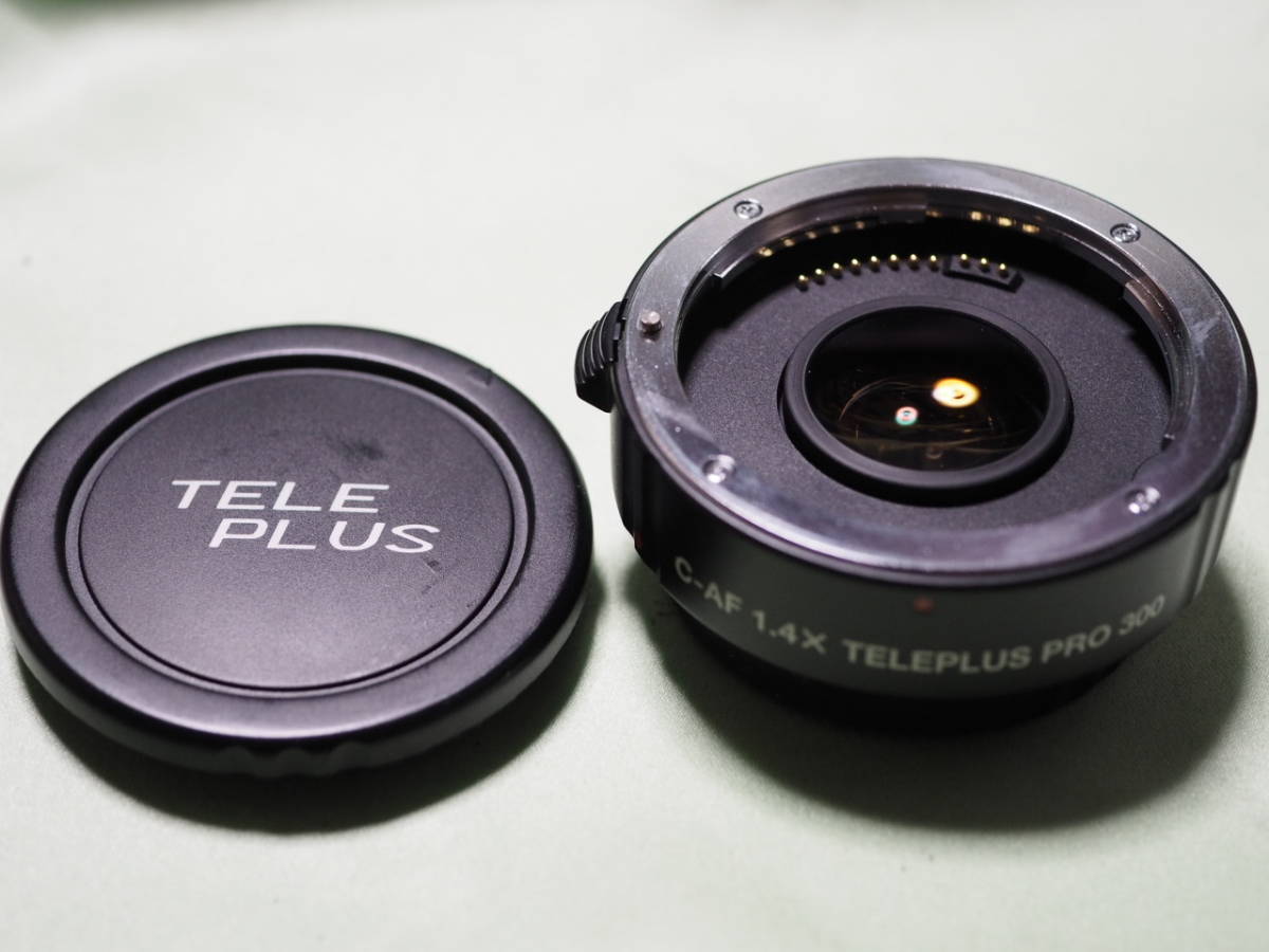 Kenko Teleplus PRO 300 AF 1.4x DGX – Teleconverter Per Canon EF Con AF E Dati EXIF