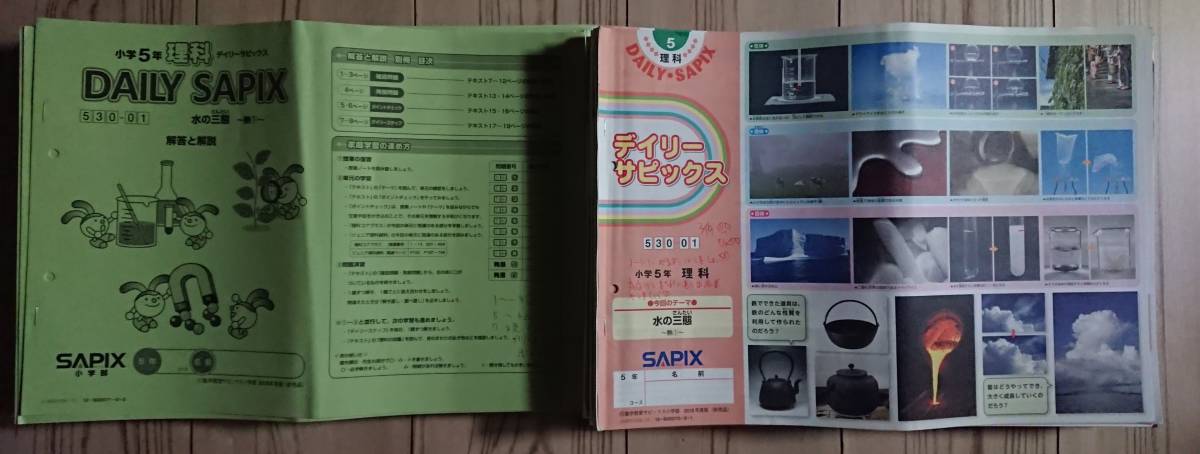 定番，大得価 小学5年 理科・社会 Daily Sapix ・・・・デイリー