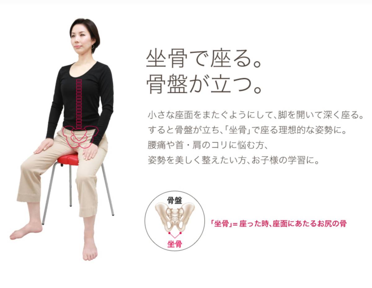 【美品1円から】ayurchair アーユル チェアー スツールタイプ Mサイズ 人気 ブラック 坐骨イス 姿勢矯正 骨盤矯正 直接引き取り歓迎 札幌_4