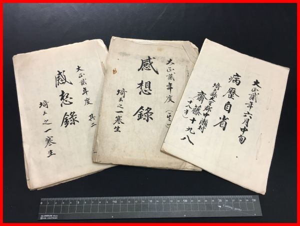 z1224【戦前日記】【大正2年 埼玉県大里郡中瀬村(深谷) 斉藤十九八・記