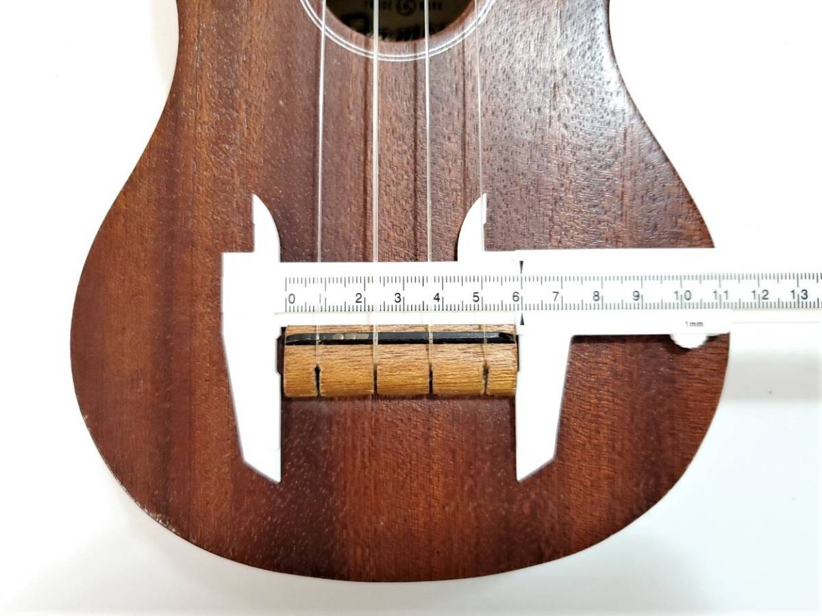 Famous フェイマス ウクレレ FS-5 ソフトケース付 公式 ソプラノ 