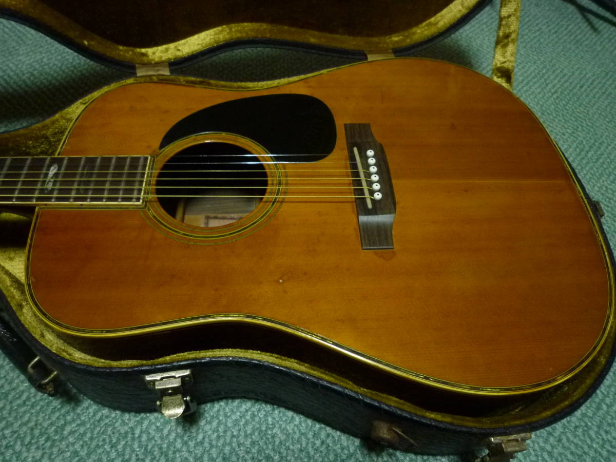 Martin ジャパンヴィンテージ JV 寺田楽器 W-800 Thumb ハカランダ合板