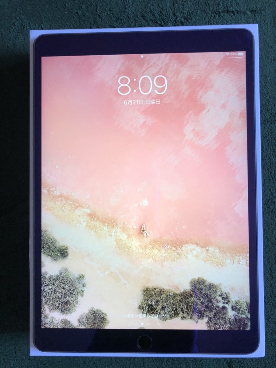 公式価格の対象 極美品 iPad Pro 10.5インチ Wi-Fi+Cellular 512GB