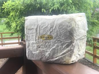 【爆買い，人気セール】 高性能 高品質 BREED菌糸ブロック 3500cc 24個セット ブリード 菌糸ビン 菌糸瓶 菌床(マット、床材)｜売買されたオークション情報、yahooの商品情報をアーカイブ公開 - オークファン マット、床材