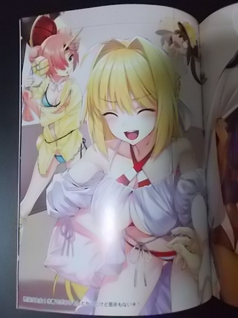 同人誌 A4 Fate 復刻増補版 Inside My Room alicemiller 松竜 条件付き 