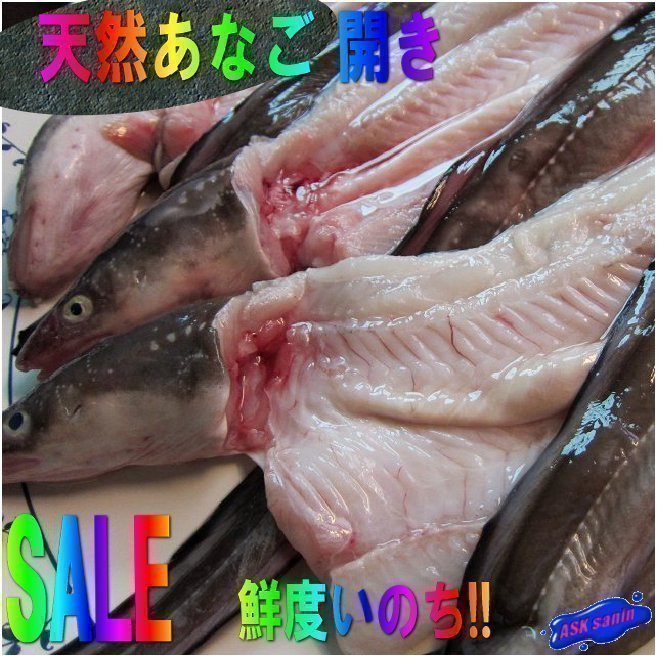 とろける甘さ!! 「穴子の開き1kg」とれたて『魚王国』境港産 とろける とろける甘さ!「穴子の開き1kg位」とれたて『魚王国』境港産 とろける甘さ!! 「活〆穴子 オンラインストア直送 脂のってます!!地物「天然ブリ5-6kg」鮮度抜群、山陰境港