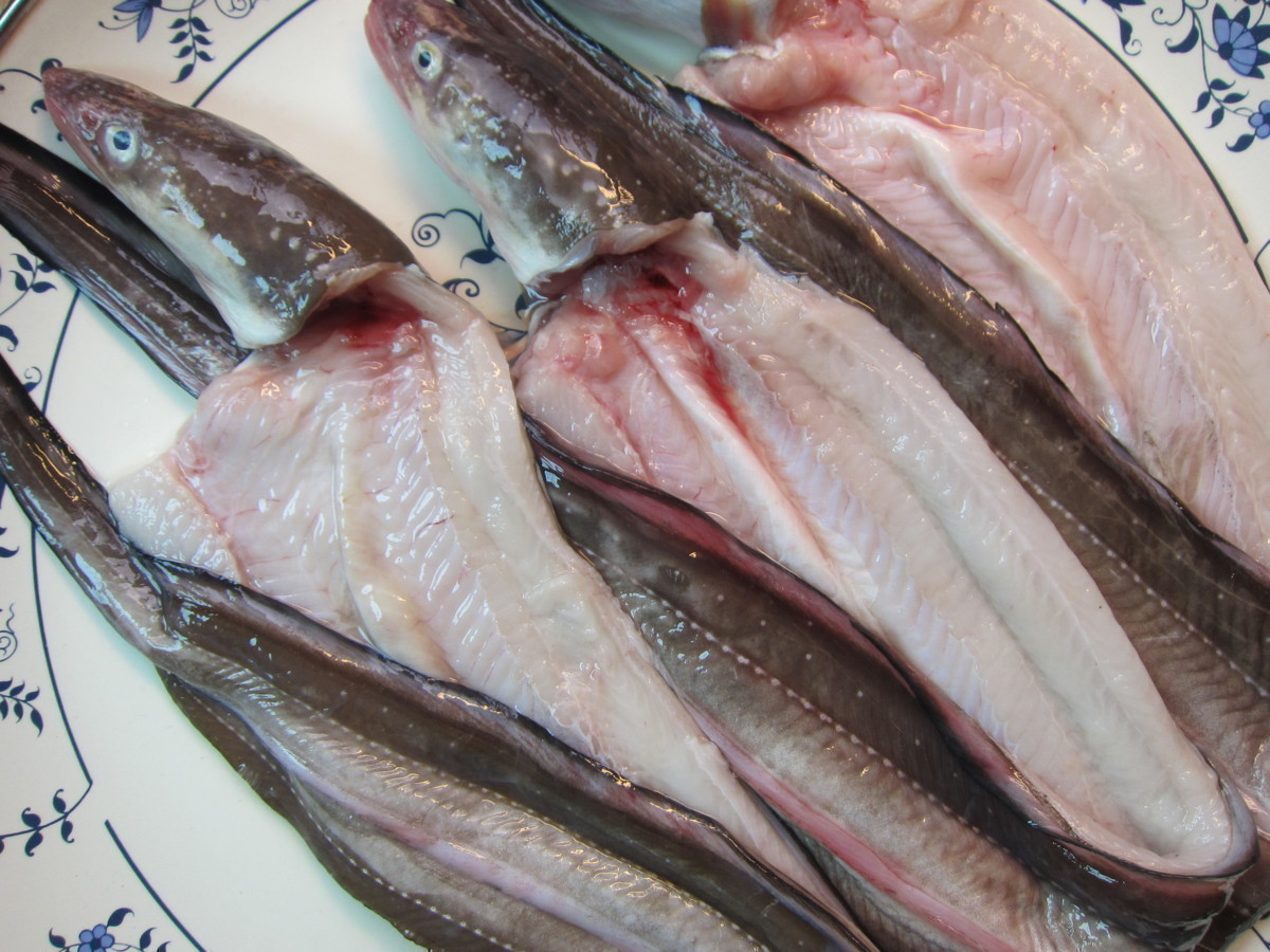 とろける甘さ!! 「穴子の開き1kg」とれたて『魚王国』境港産 とろける とろける甘さ!「穴子の開き1kg位」とれたて『魚王国』境港産 とろける甘さ!! 「活〆穴子 オンラインストア直送 脂のってます!!地物「天然ブリ5-6kg」鮮度抜群、山陰境港