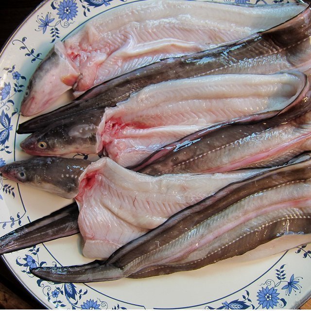とろける甘さ!! 「穴子の開き1kg」とれたて『魚王国』境港産 とろける とろける甘さ!「穴子の開き1kg位」とれたて『魚王国』境港産 とろける甘さ!! 「活〆穴子 オンラインストア直送 脂のってます!!地物「天然ブリ5-6kg」鮮度抜群、山陰境港