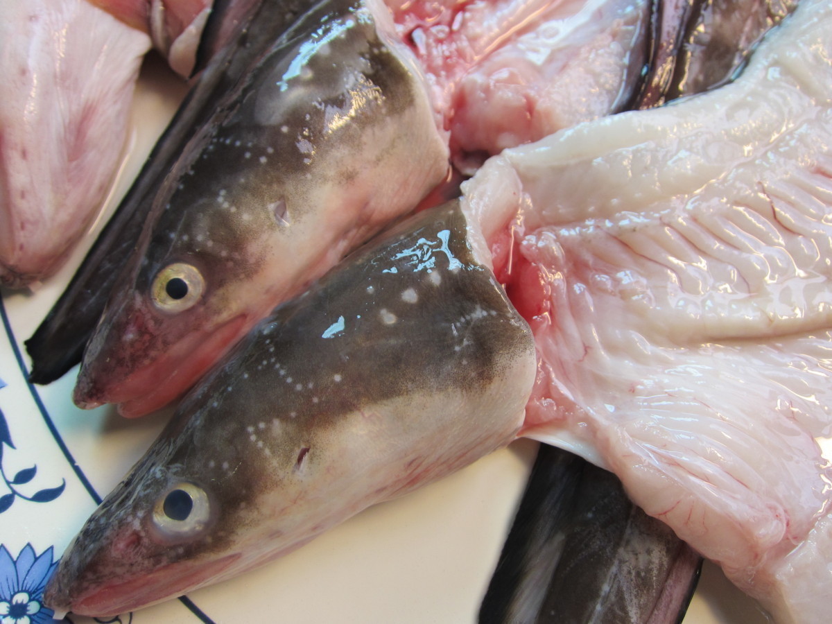 とろける甘さ!! 「穴子の開き1kg」とれたて『魚王国』境港産 とろける とろける甘さ!「穴子の開き1kg位」とれたて『魚王国』境港産 とろける甘さ!! 「活〆穴子 オンラインストア直送 脂のってます!!地物「天然ブリ5-6kg」鮮度抜群、山陰境港