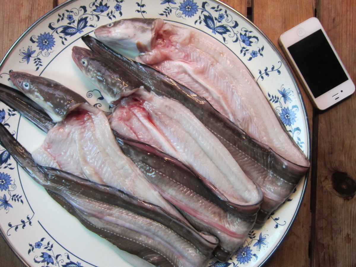 とろける甘さ!! 「穴子の開き1kg」とれたて『魚王国』境港産 とろける とろける甘さ!「穴子の開き1kg位」とれたて『魚王国』境港産 とろける甘さ!! 「活〆穴子 オンラインストア直送 脂のってます!!地物「天然ブリ5-6kg」鮮度抜群、山陰境港