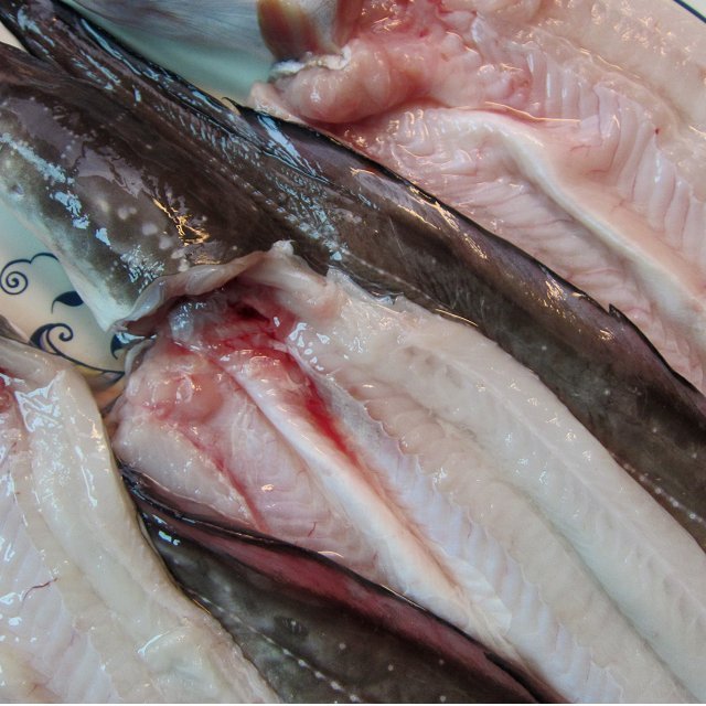 とろける甘さ!! 「穴子の開き1kg」とれたて『魚王国』境港産 とろける とろける甘さ!「穴子の開き1kg位」とれたて『魚王国』境港産 とろける甘さ!! 「活〆穴子 オンラインストア直送 脂のってます!!地物「天然ブリ5-6kg」鮮度抜群、山陰境港
