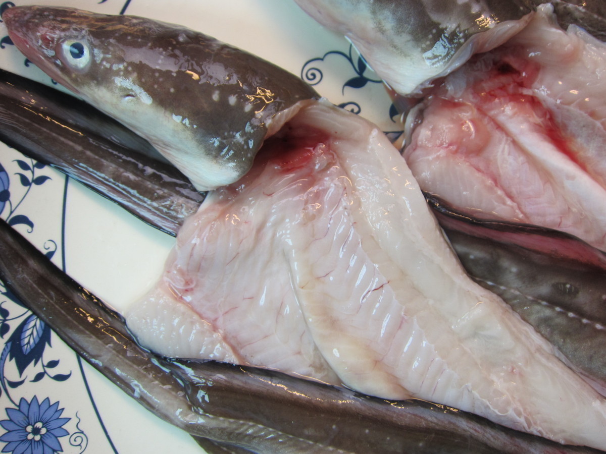 とろける甘さ!! 「穴子の開き1kg」とれたて『魚王国』境港産 とろける とろける甘さ!「穴子の開き1kg位」とれたて『魚王国』境港産 とろける甘さ!! 「活〆穴子 オンラインストア直送 脂のってます!!地物「天然ブリ5-6kg」鮮度抜群、山陰境港