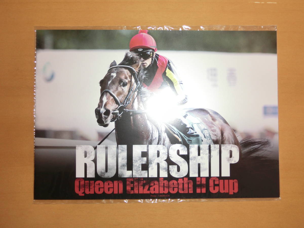 【セール，得価】 クオカード付写真集 ルーランシップ優勝記念 非売品(競馬)｜売買されたオークション情報、yahooの商品情報をアーカイブ公開 - オークファン その他