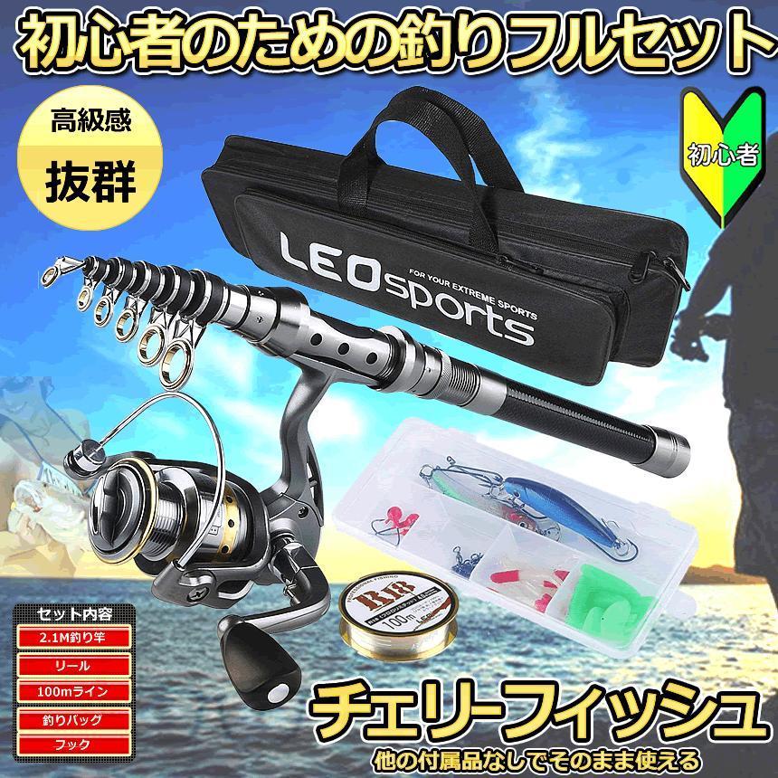 2号 5点セット 釣り 釣り竿 セット ロッド コンパクト 初心者 リール