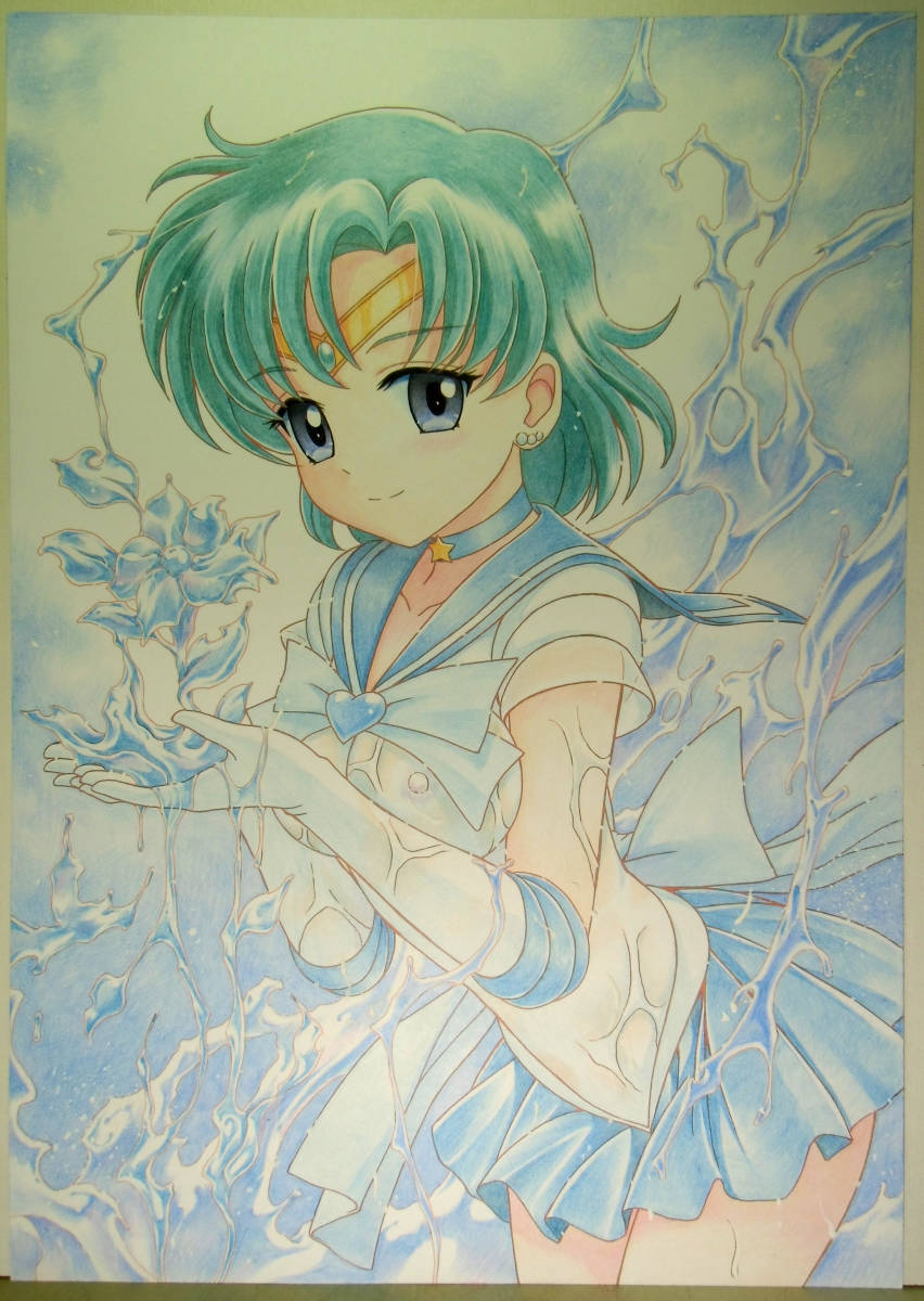 セーラーマーキュリー 水の花 色鉛筆アート 手描きイラスト 売買されたオークション情報 Yahooの商品情報をアーカイブ公開 オークファン Aucfan Com