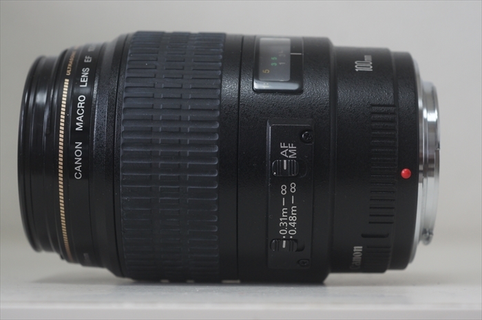 魅力の Canon キヤノン EF 100mm F2.8 Macro(マクロ) USM