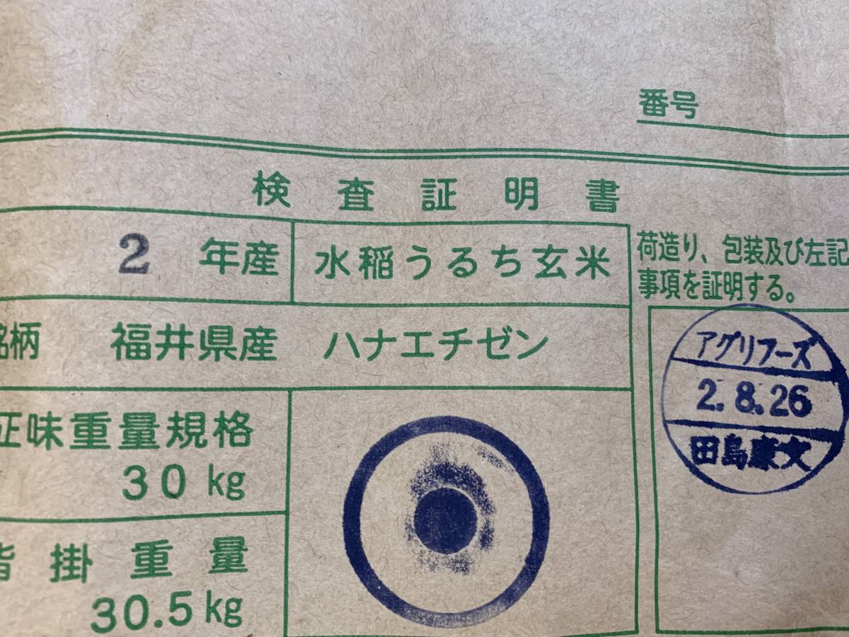 ハナエチゼン 新米25kg令和6年福井県産ハナエチゼン検査米1等 米