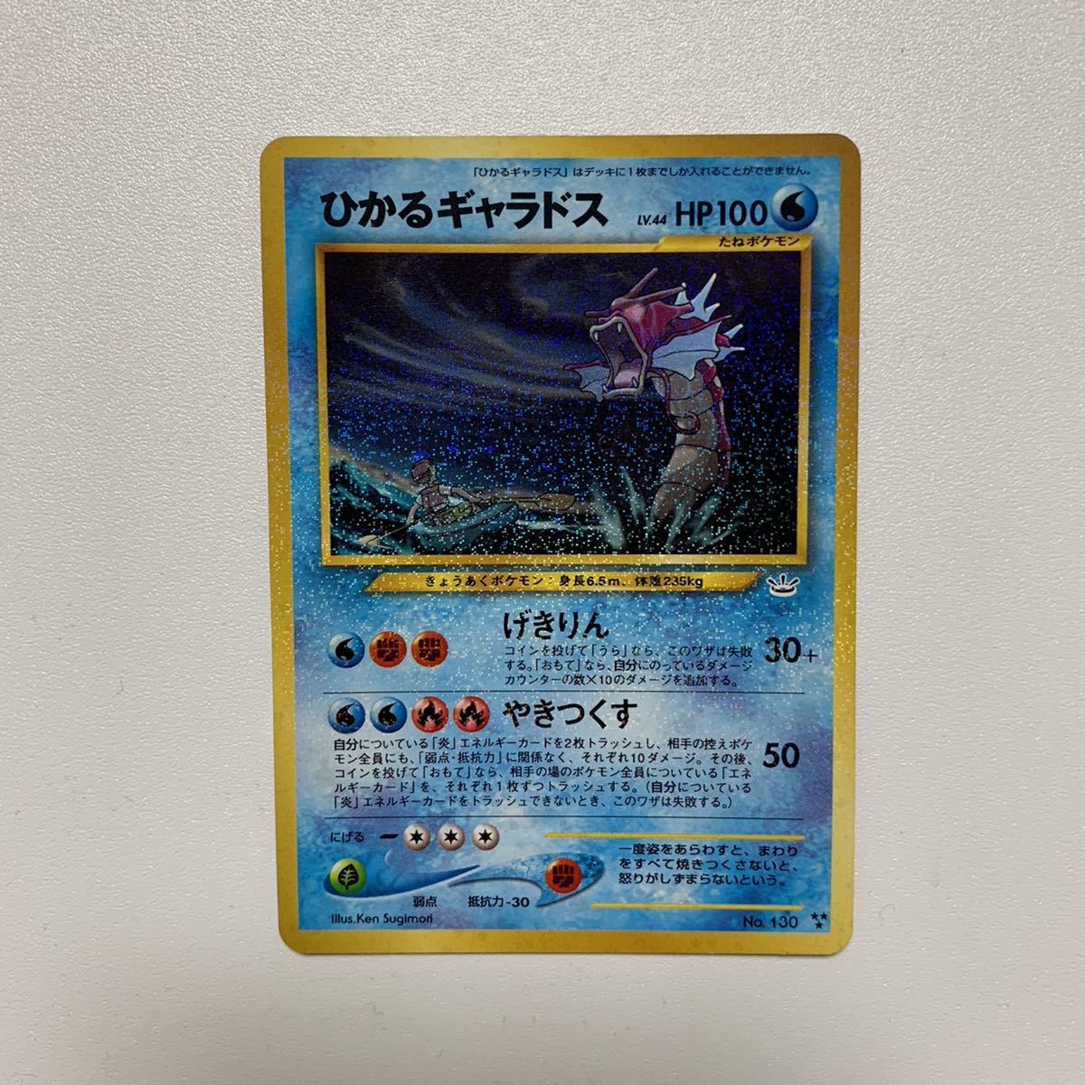 ひかるギャラドス ポケモン カード 旧裏 【公式通販】