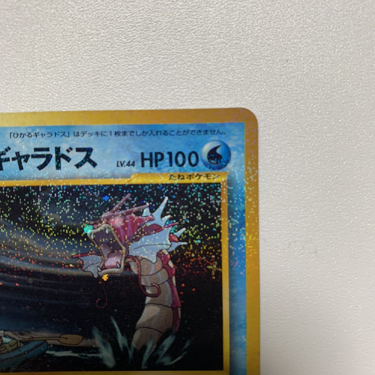 ひかるギャラドス ポケモン カード 旧裏 【公式通販】