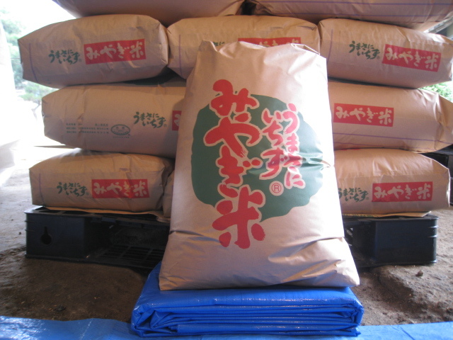 【本物保証，お買い得】 最終出品 S農家 北限のコシヒカリ 令和2年宮城県産特別栽培米30kg(コシヒカリ)｜売買されたオークション情報、yahooの商品情報をアーカイブ公開 - オークファン コシヒカリ