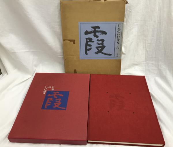 いけばな草月流 : 勅使河原 霞 「小さな いけばな」 おもちゃ Special