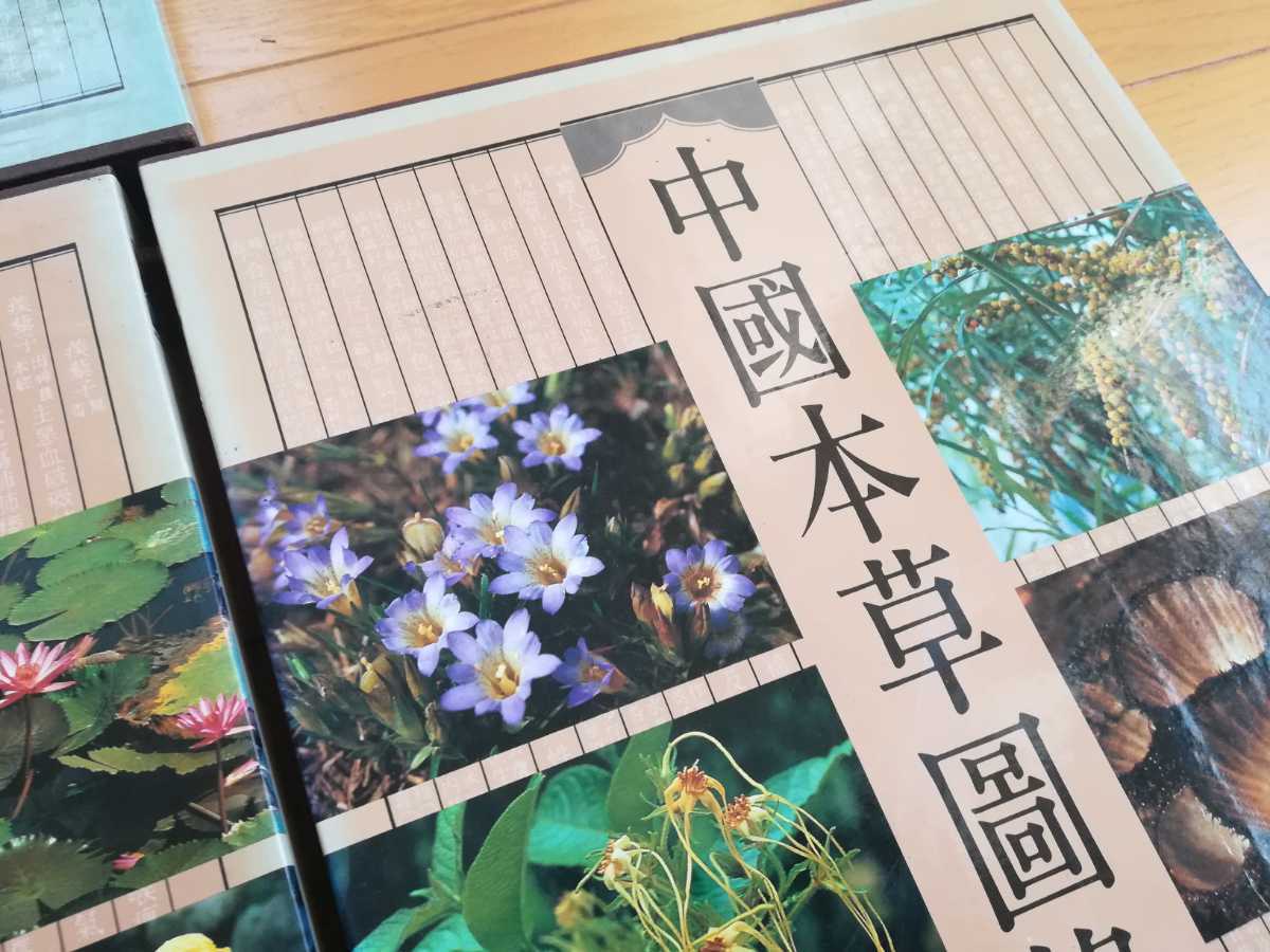 超限定2月25日20時迄‼️漢薬フルカラー『中國本草圖錄』10巻揃￼中国語薬草図鑑 ⁄ 中国本草図録 | 超限定2月25日20時迄‼️漢薬フルカラー『中國本草圖