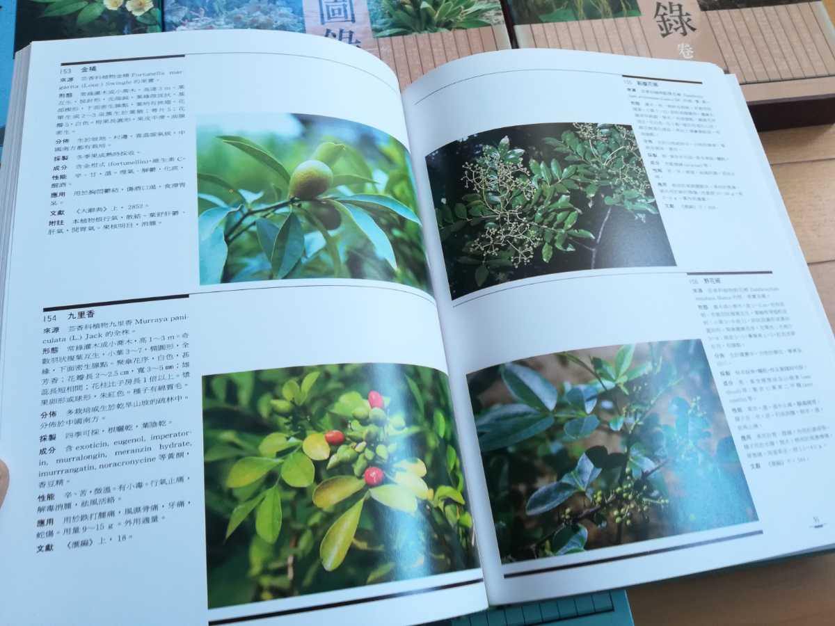 ⁄ 中国本草図録 | 超限定2月25日20時迄‼️漢薬フルカラー『中國本草圖