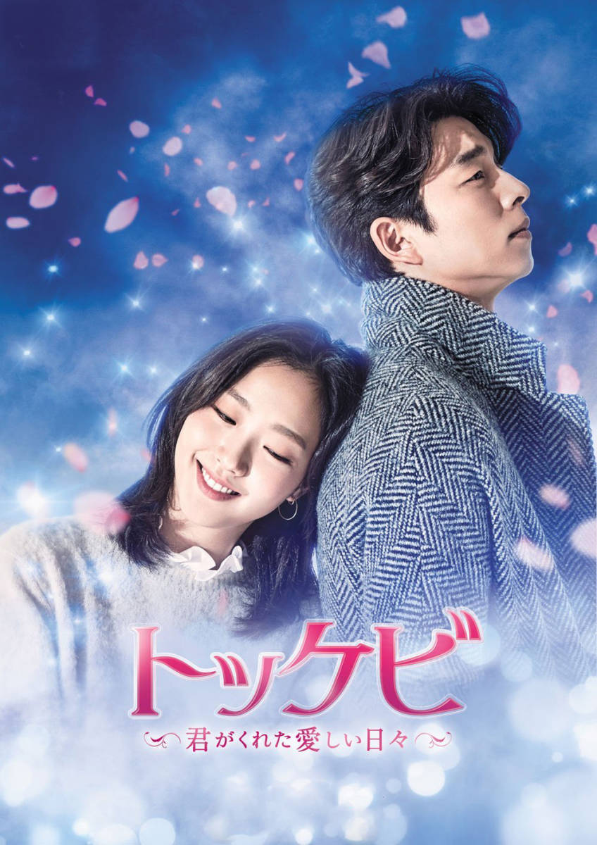 在庫処分 特価 ○ 韓国ドラマ トッケビ DVD-BOX☆日本語吹替え切替
