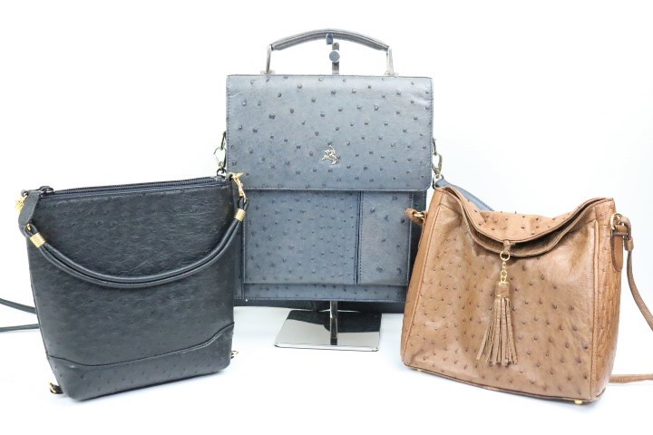 HOT ト打 オーストリッチ バッグ3個まとめ POLO MEISDO/iii sanpo AA536EWH85(オーストリッチ)｜売買されたオークション情報、yahooの商品情報をアーカイブ公開 - オークファン オーストリッチ