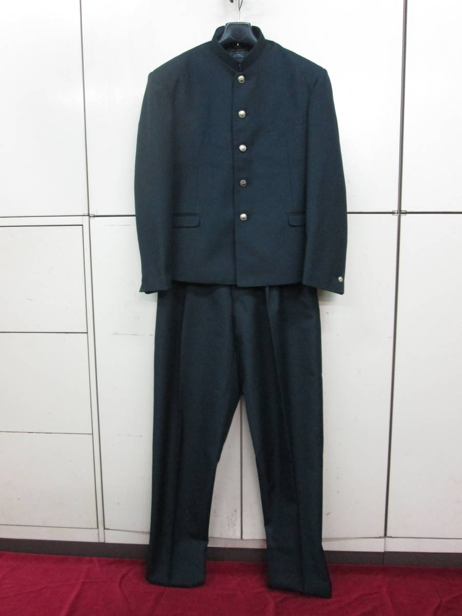 t805013481.4