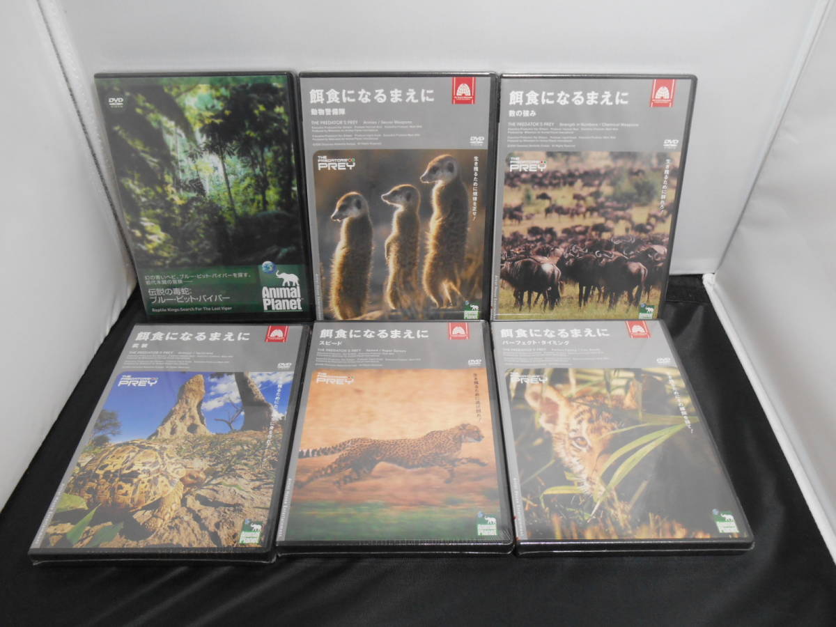 Zh1524 ケース付き まとめて 6本セット Animal Planet アニマル プラネット Dvd アーティストハウスエンターテイメント 動物 売買されたオークション情報 Yahooの商品情報をアーカイブ公開 オークファン Aucfan Com