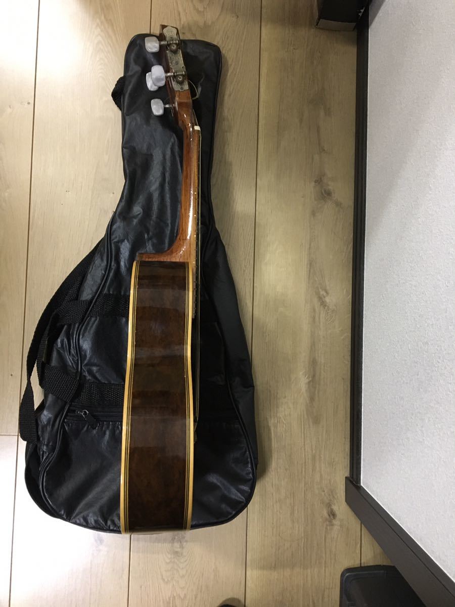 カバキーニョ Rozini Rozini カバキーニョ Classico Studio ホビー
