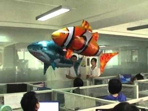 Airswimmingfish ラジコン 風船 魚 サメ クマノミ バルーン エアスイマー パーティ クリスマス トイラジ 飛行船 飛行機 トイラジコン 売買されたオークション情報 Yahooの商品情報をアーカイブ公開 オークファン Aucfan Com