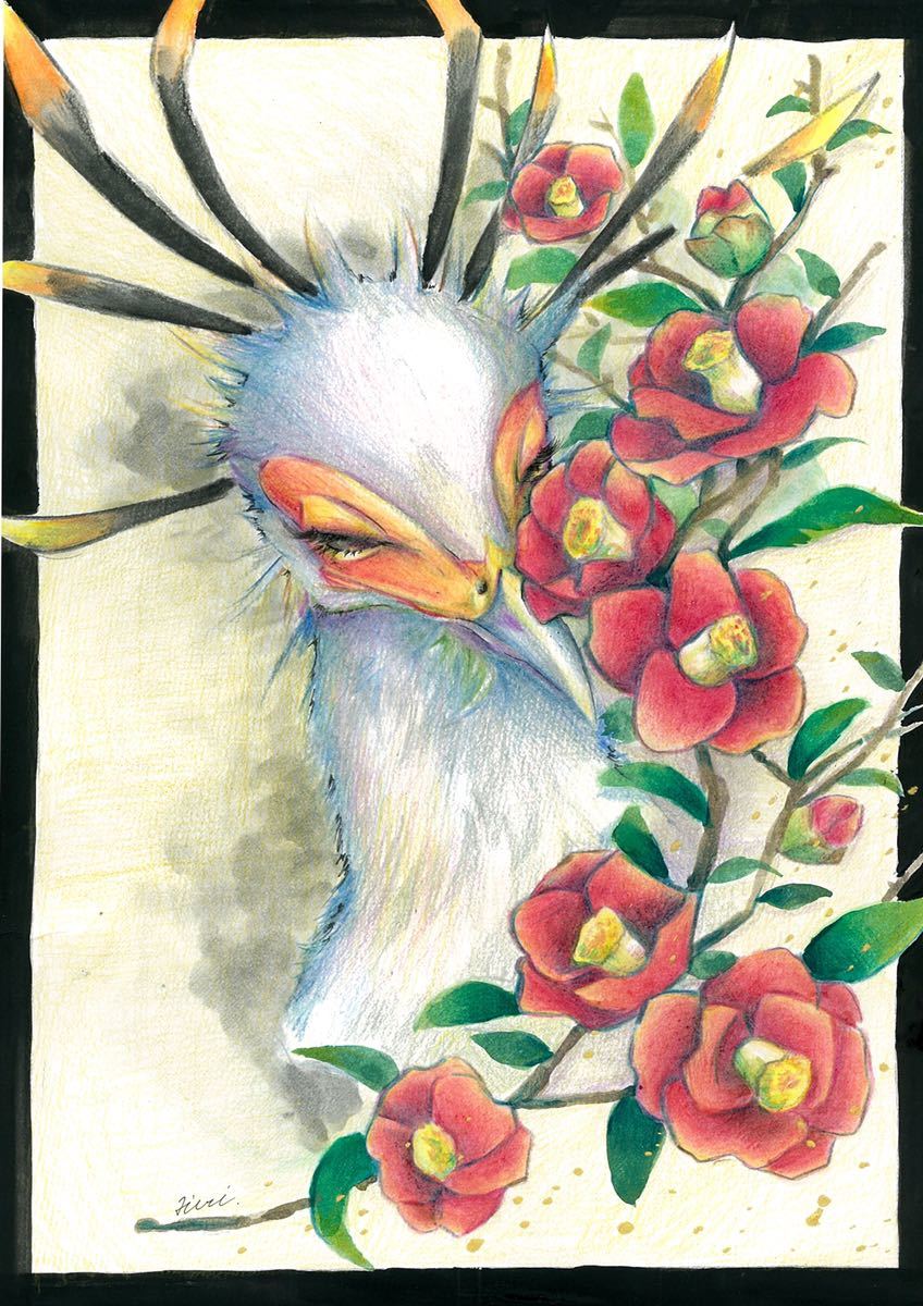 原画イラスト 色鉛筆 水彩画 手描きイラスト ヘビクイワシと椿 手描きイラスト 売買されたオークション情報 Yahooの商品情報をアーカイブ公開 オークファン Aucfan Com