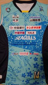 宮下遥のYahoo!オークション(旧ヤフオク!)の相場・価格を見る｜Yahoo