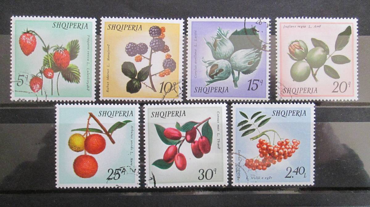 アルバニア切手 1972年 野生の果実シリーズ ５ｑ 2 4ｌ 野イチゴ ヘーゼルナツ ハナミズキの実 ローワンの実など 7種完 使用済み ヨーロッパ 売買されたオークション情報 Yahooの商品情報をアーカイブ公開 オークファン Aucfan Com